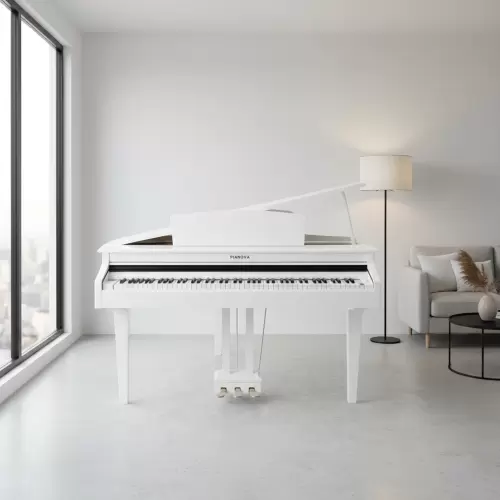 Цифровой рояль PIANOVA RG-110 Polish White