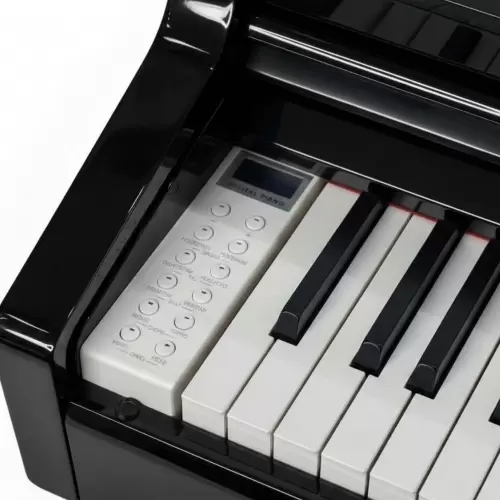 Цифровой рояль PIANOVA RG-110 Polish Black