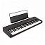 ЭлектроПиано Casio CT-S1 BK